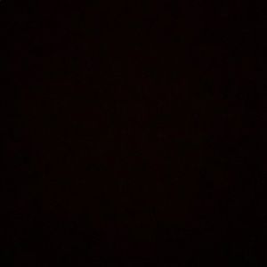 Meet your Posher, Raelynn